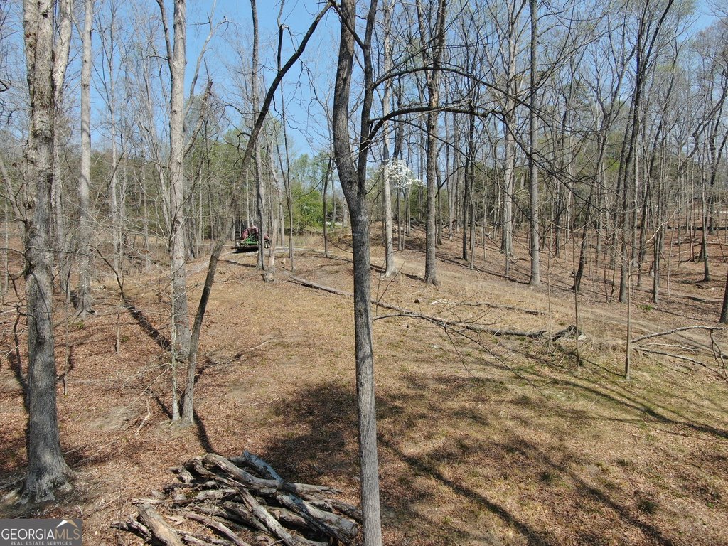 Picture 16