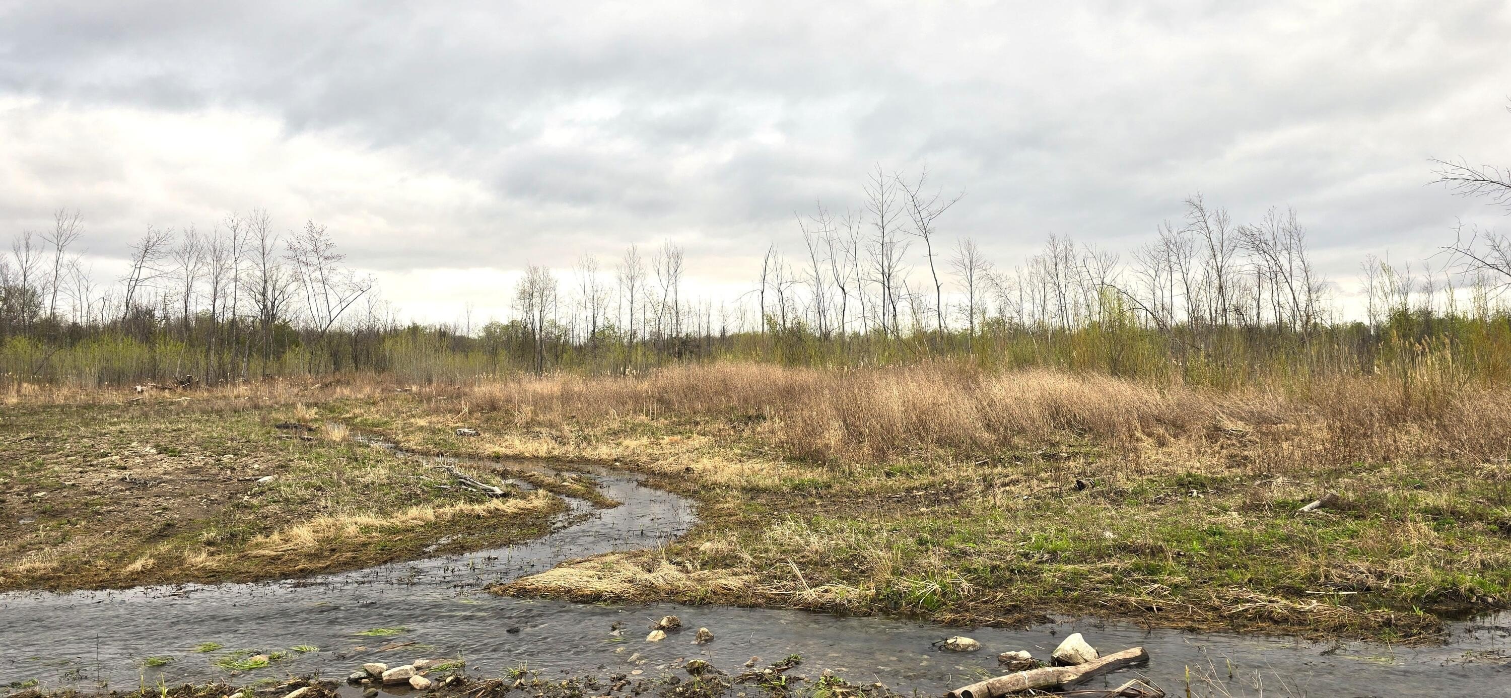 Expansive 133-Acre Land Parcel