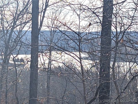 Lakefront Land with Dock Access