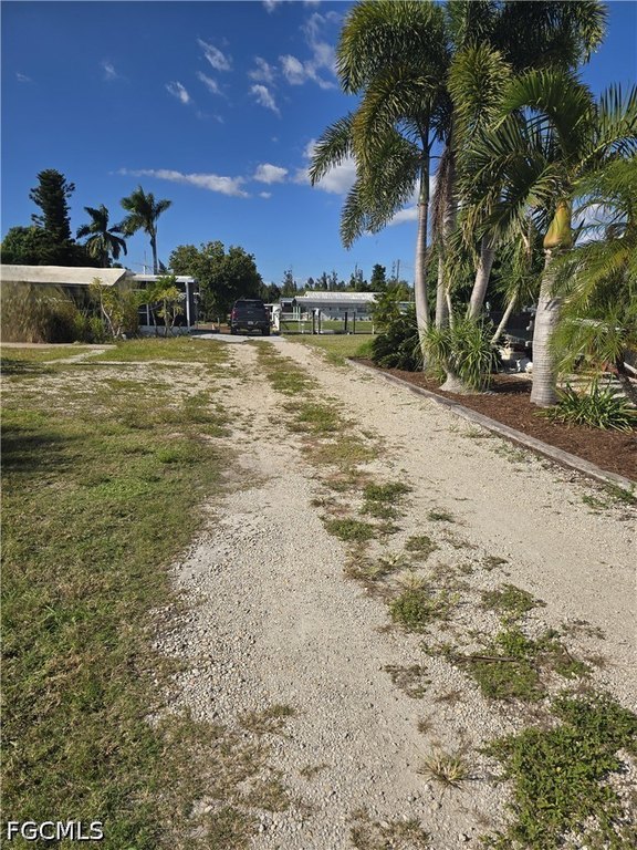 Picture 7