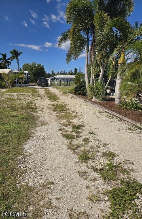 Picture 6