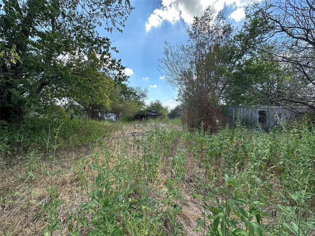 Picture 2