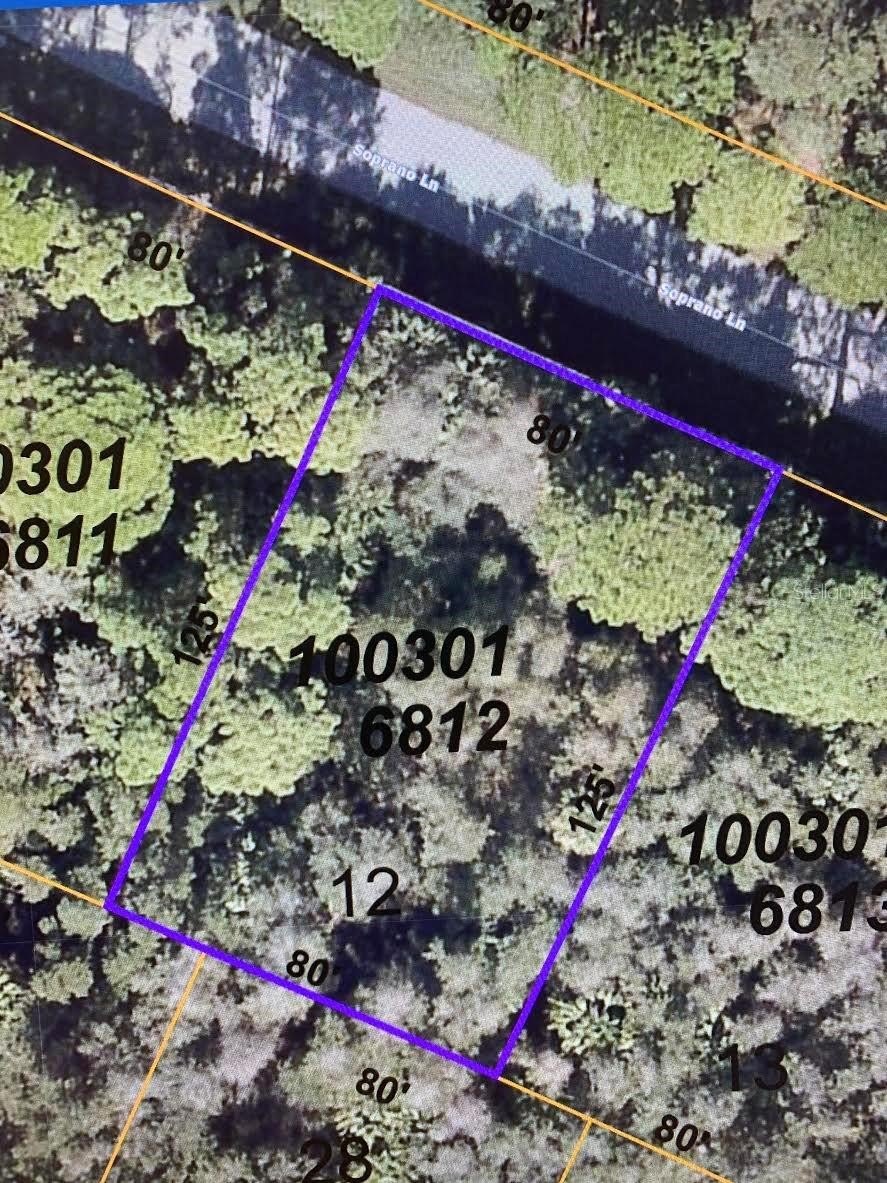 Residential Lot in North Port