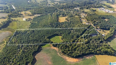 LAND/LOTS, GAYLESVILLE, AL