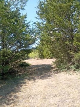 Land, Covington, TX