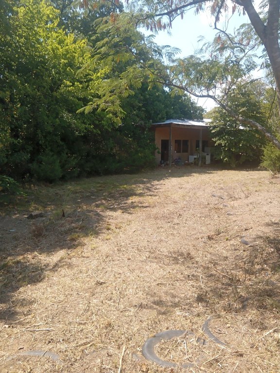 Picture 7