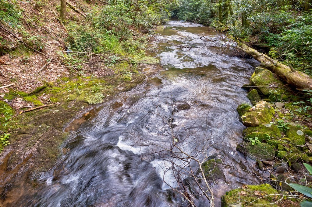 Picture 41
