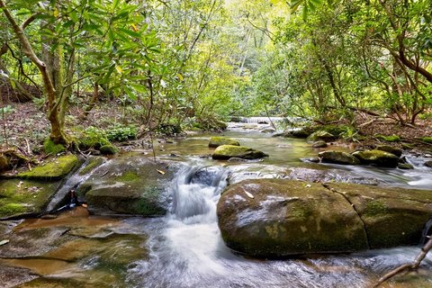 LAND - Ellijay, GA