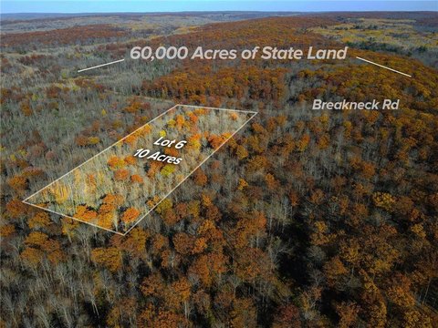 Scenic Wooded Parcel in Blue Hills