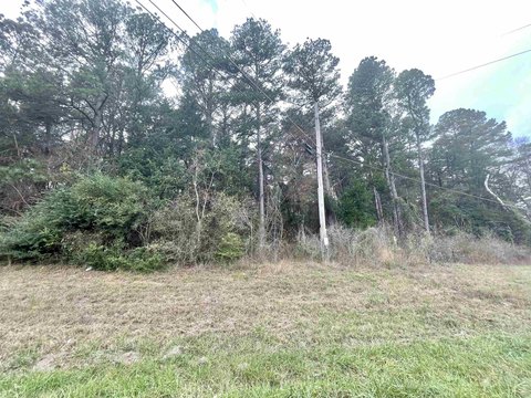 Highway Frontage Land in Daingerfield