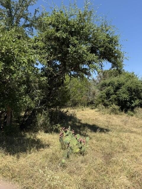 Picture 21