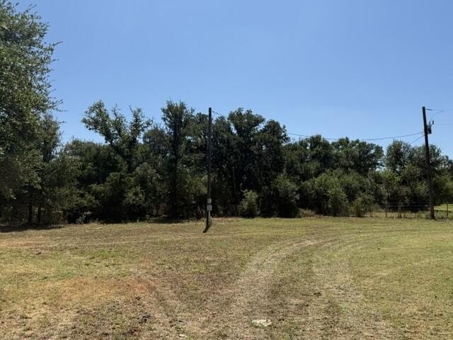 Picture 23