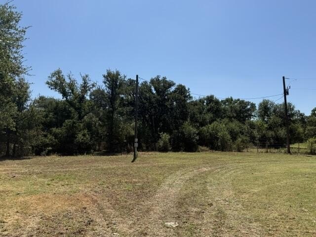 Picture 24