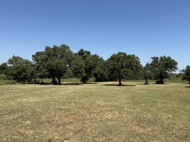 Picture 29