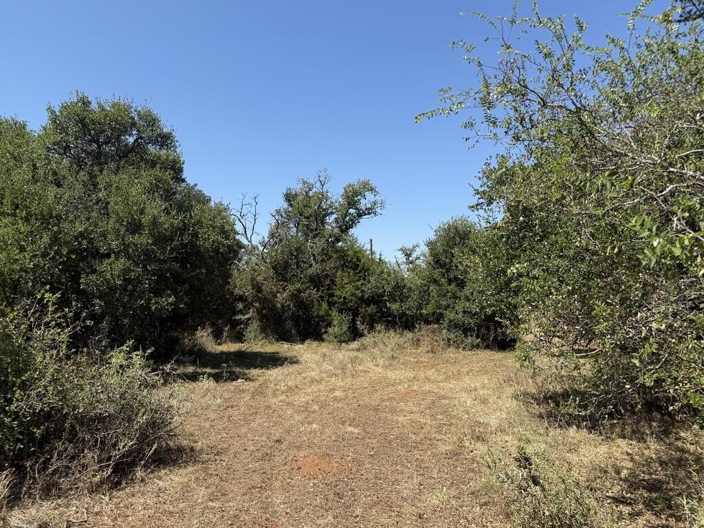 Picture 17