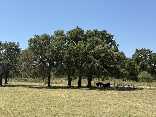 Picture 42