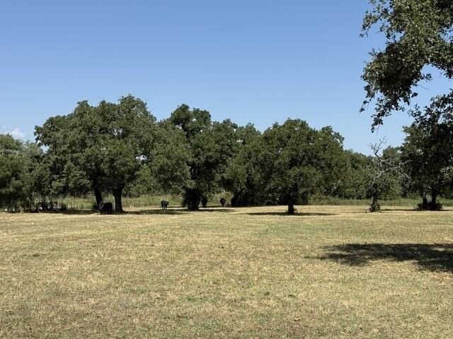 Picture 25