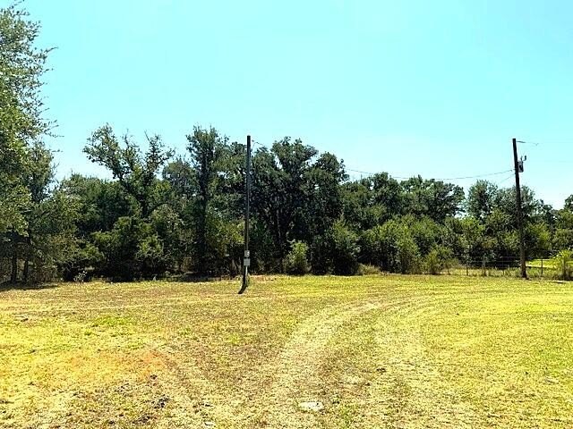 Picture 14