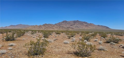 Lucerne Valley Land Parcel
