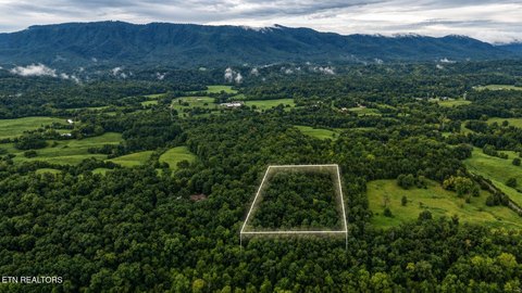 Lots & Acreage, Seymour, TN