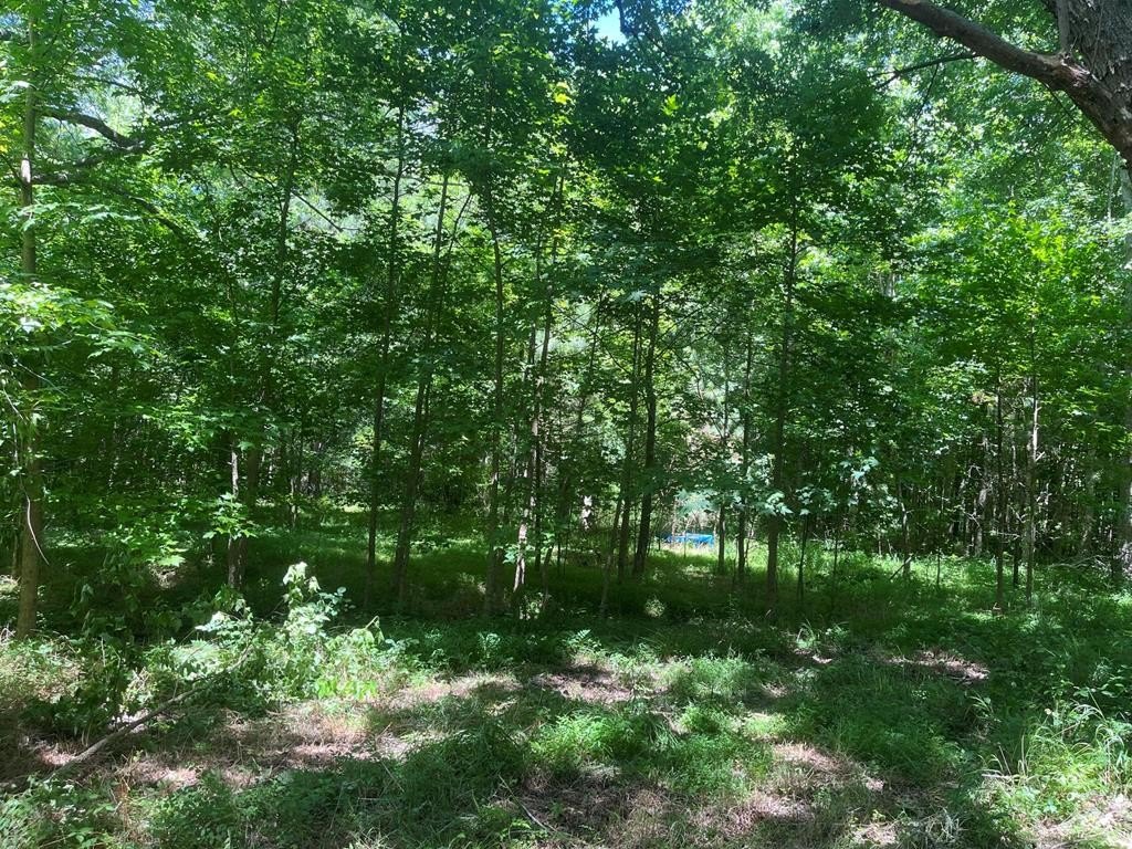 Picture 5
