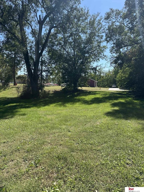 Picture 5