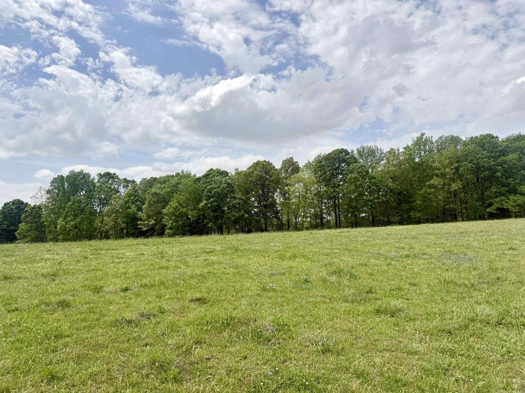 Picture 13