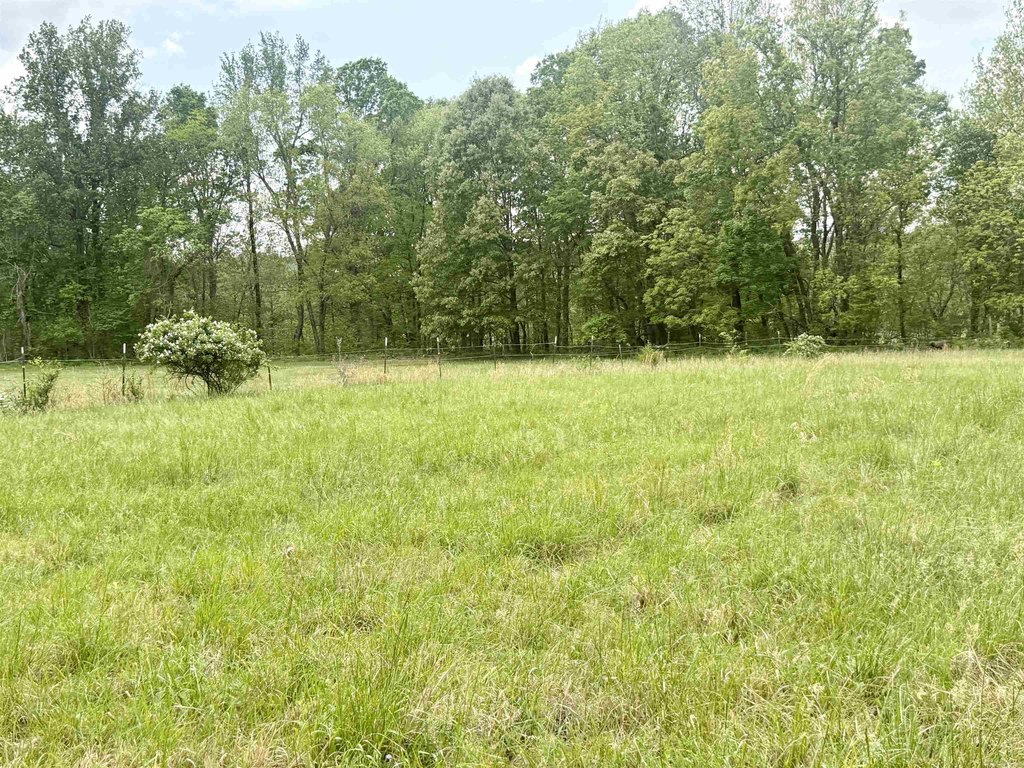 Picture 11