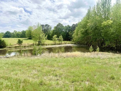 73.22 Acres in Paragould, AR