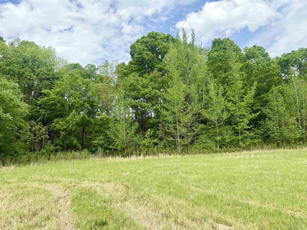 Picture 20