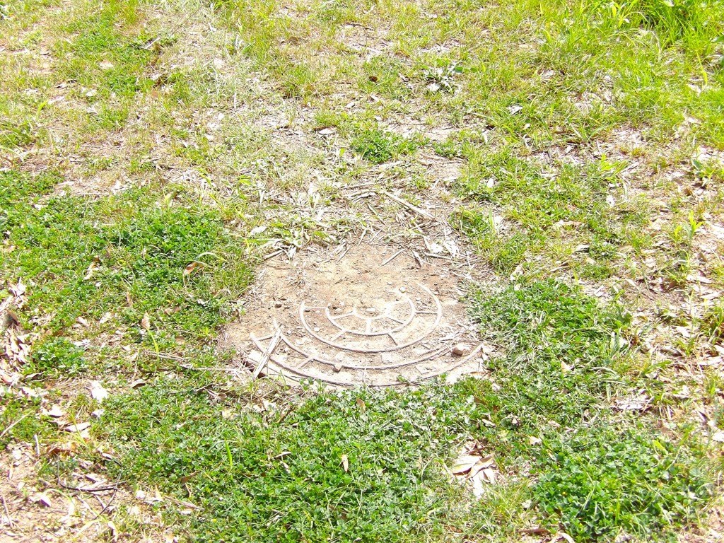 Picture 22