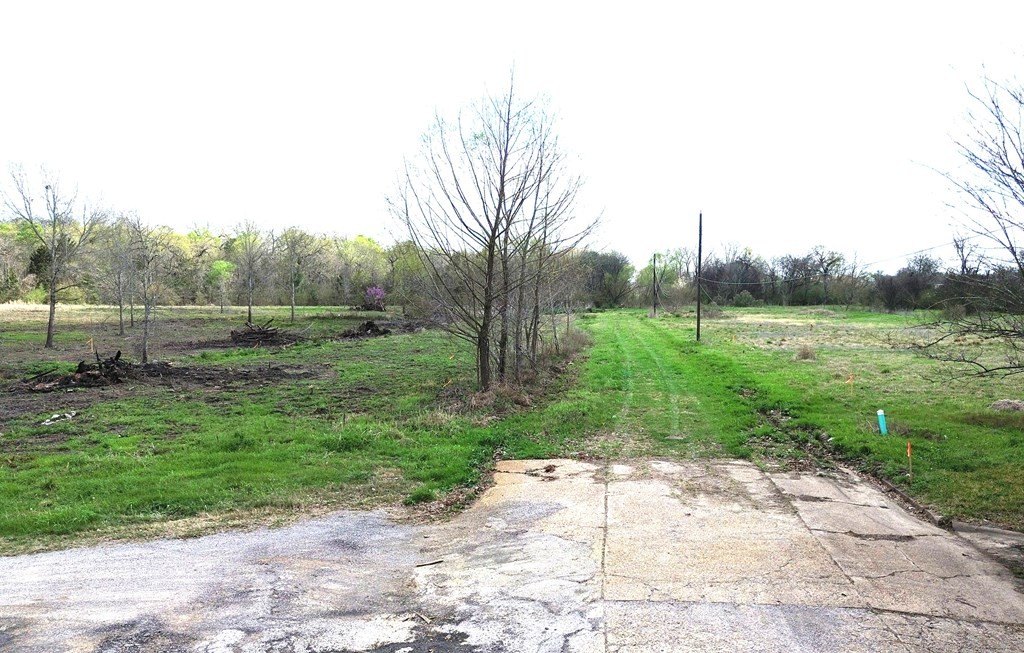 Picture 8