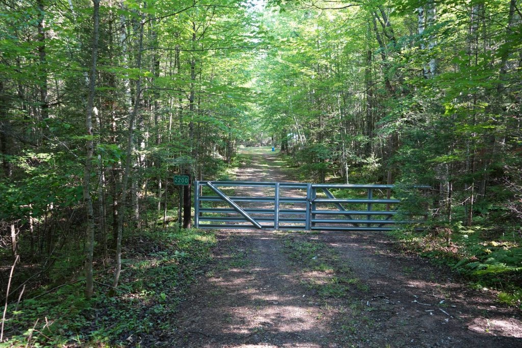 Picture 30