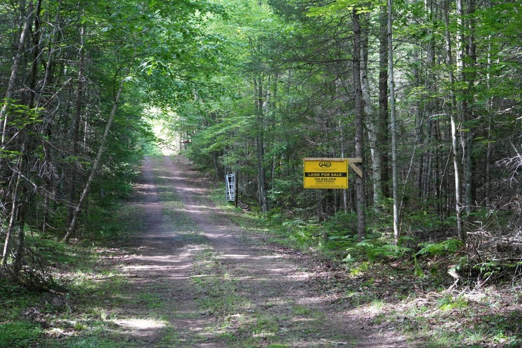 Picture 21