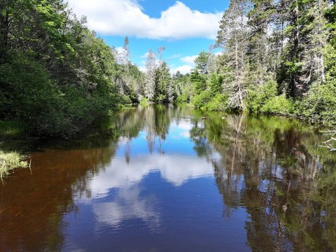 Waterfront Hunting and Recreation Land