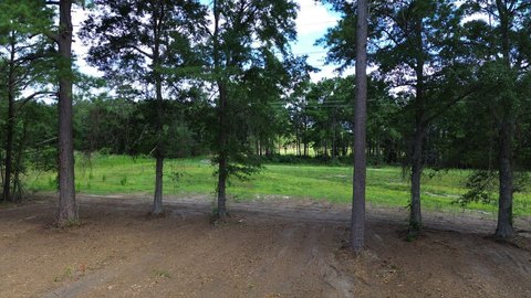 LAND - Cross, SC