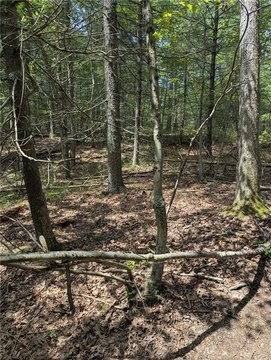 27.55 Acre Parcel For Sale