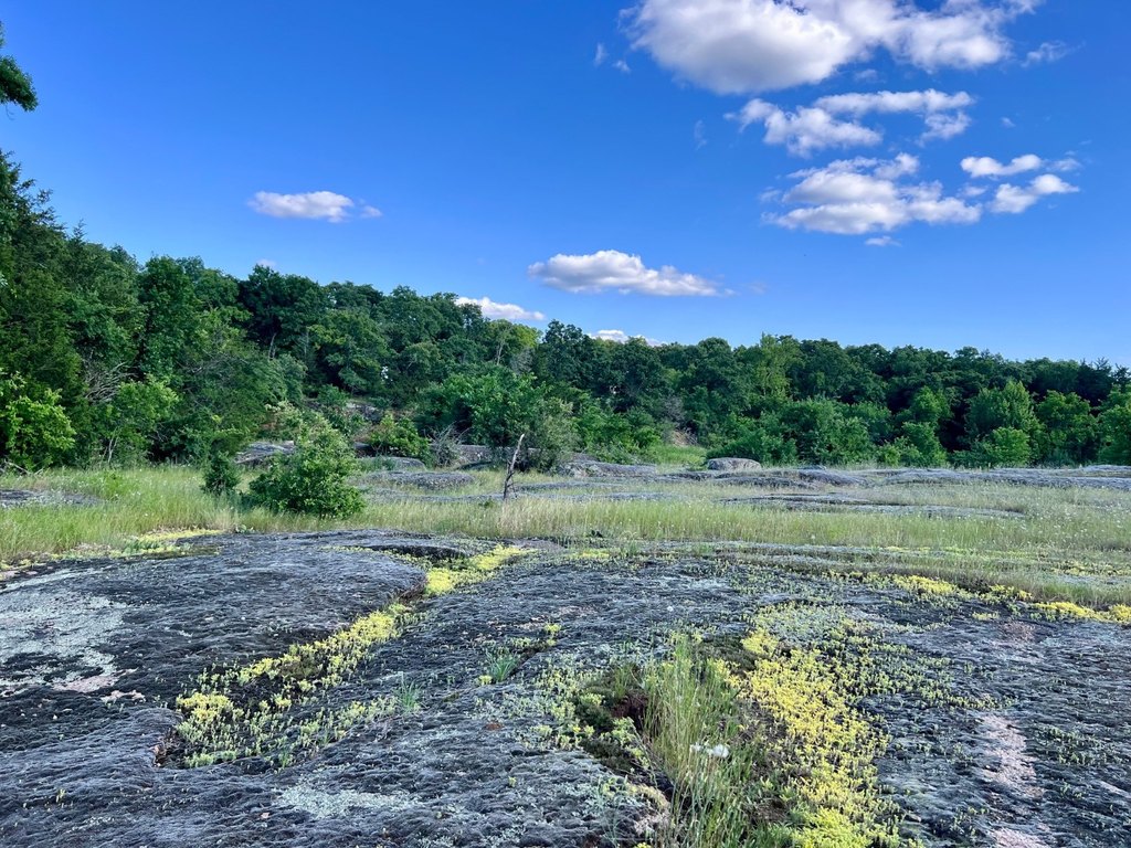 Picture 13