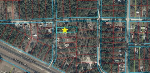 Land, Bronson, FL