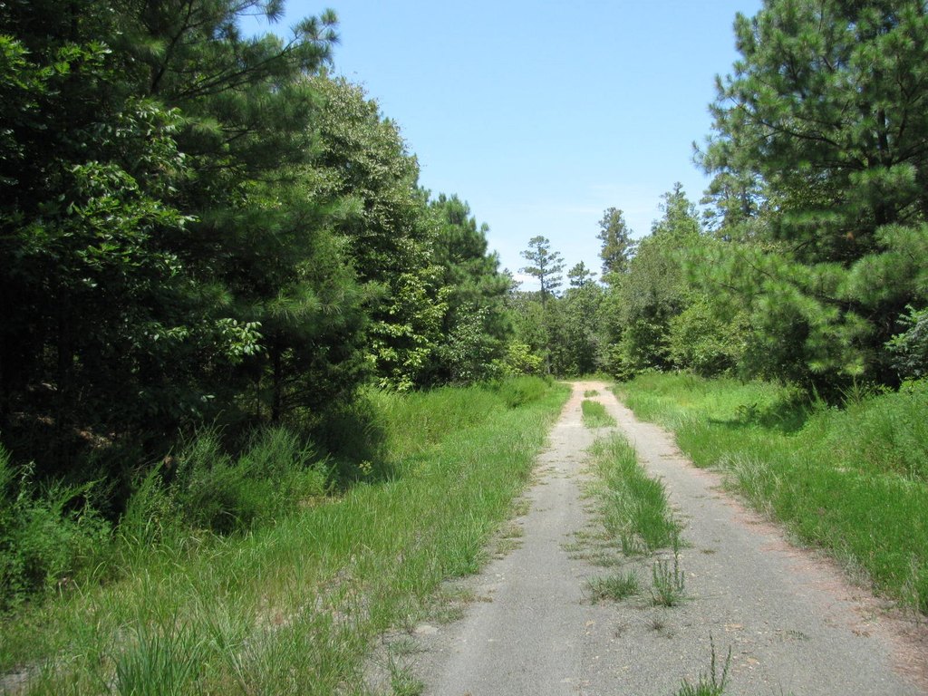Picture 5