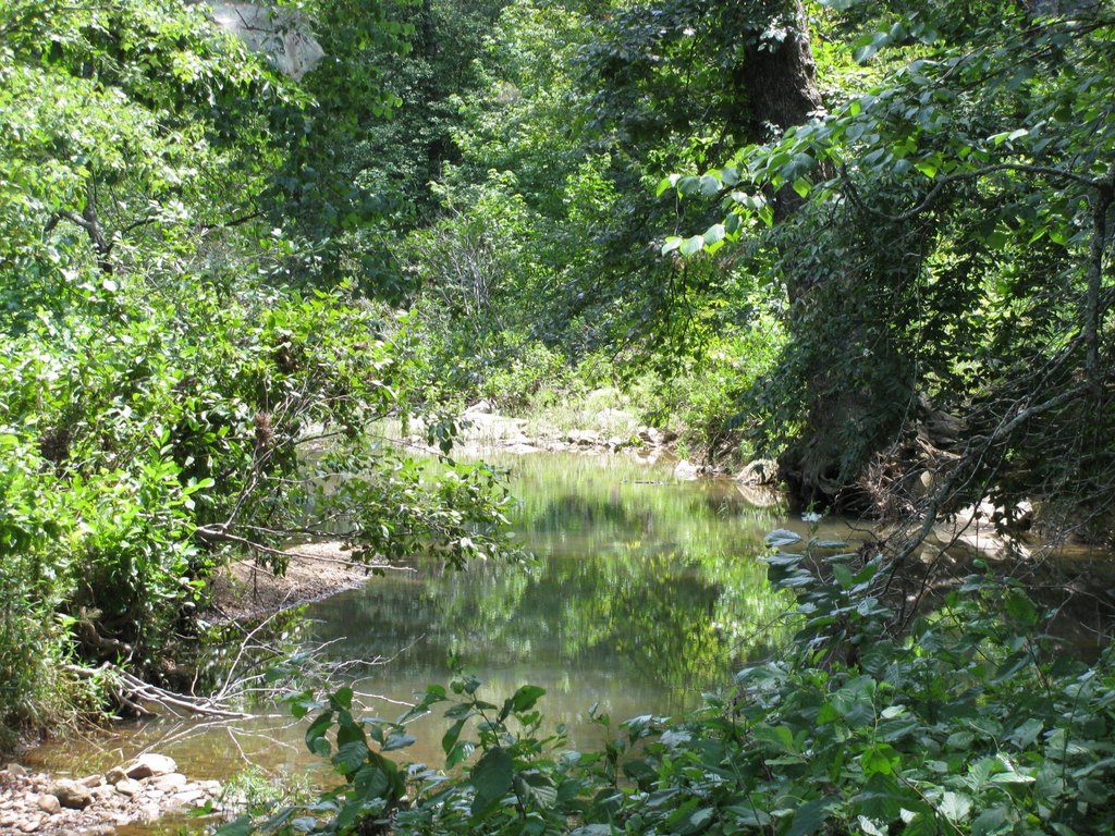 Picture 8