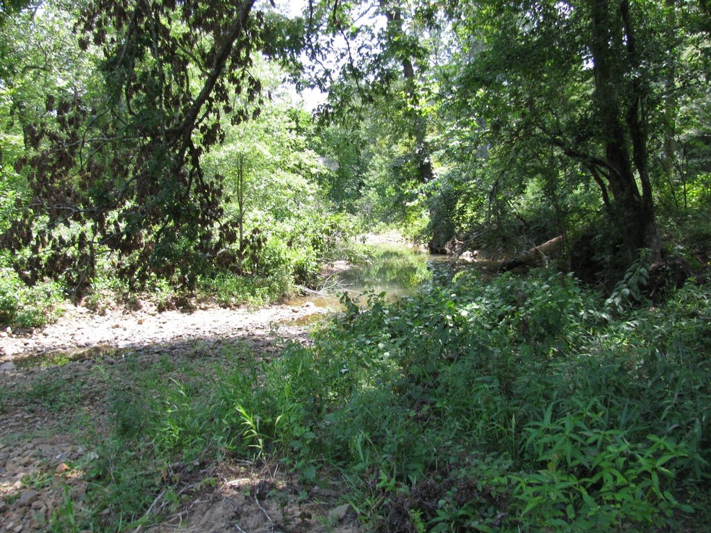 Picture 9