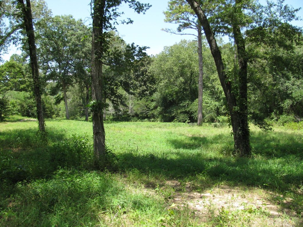 Picture 10