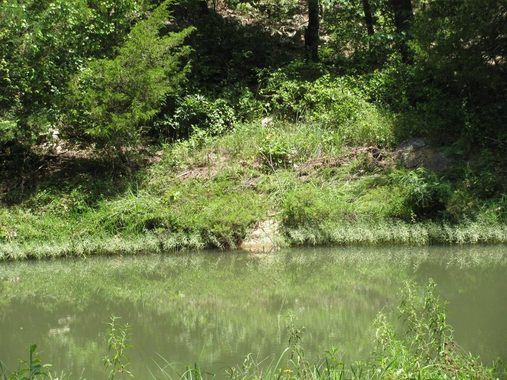 Picture 7