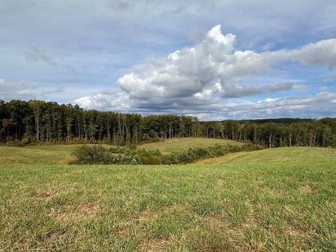 Cleared Land in Jamestown, TN