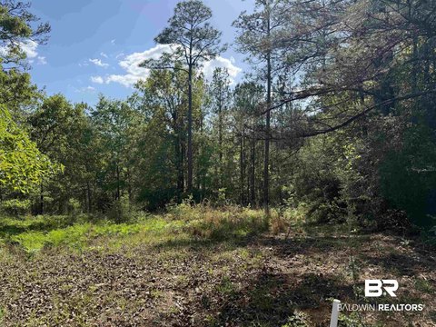 Waterfront Golf Community Land Lot