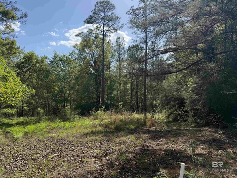 Waterfront Wooded Golf Community Lot