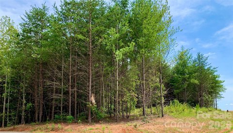 Residential Land Lot in Planned Community