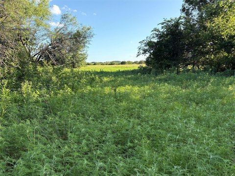 Creekside Hunting and Recreational Land