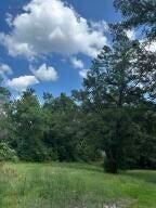 Buildable Residential Lot in Laurel